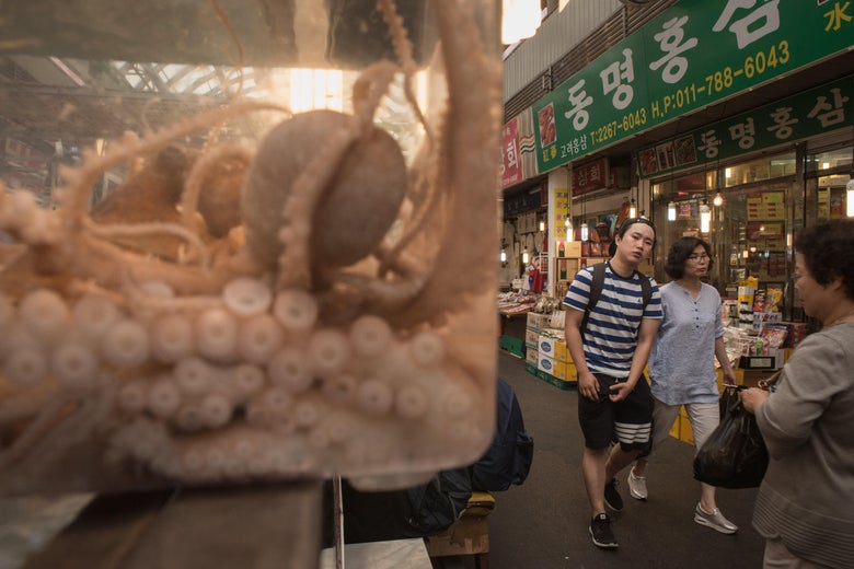 People walk past octopus displayed at a food stall in Gwangjang market in Seoul on June 27, 2017. / AFP PHOTO / Ed Jones (Photo credit should read ED JONES/AFP/Getty Images)